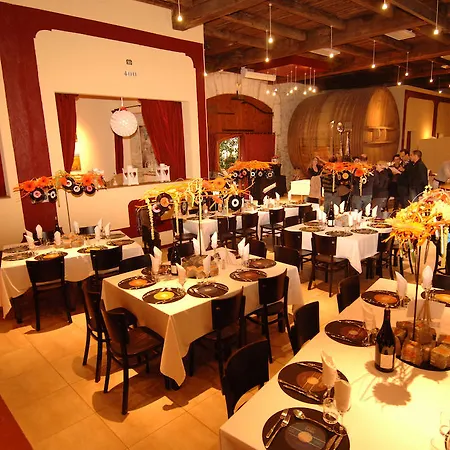 Château Du Puits Es Pratx 3* Ginestas